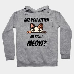 Are You Kitten Me Right Meow T-shirt Hoodie